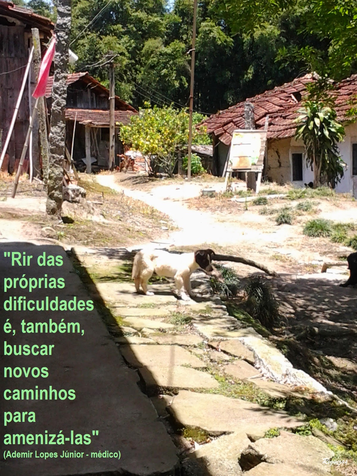 Foto particular - KRI - Foto tirada em Mogi das Cruzes Foto tirada em Mogi das Cruzes