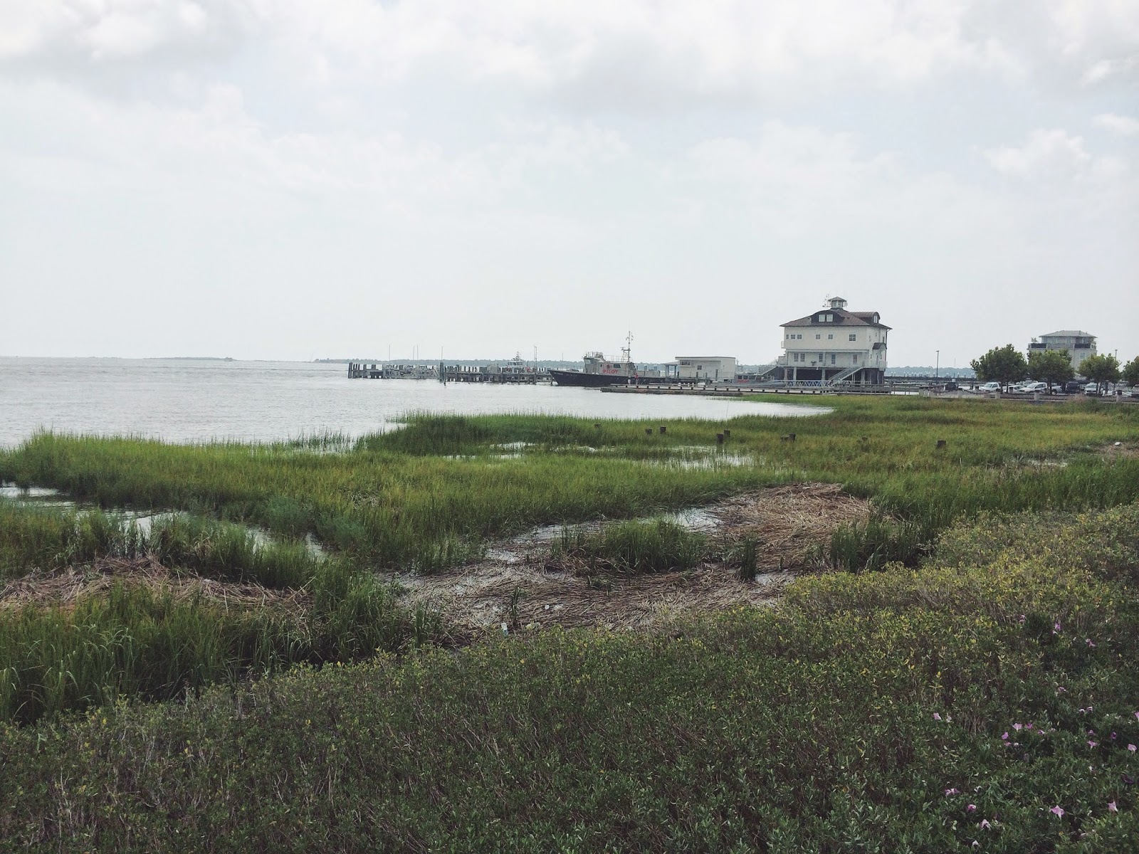 Charleston Waterfront Park, Charleston Waterfront, Charleston Harbor, Charleston South Carolina