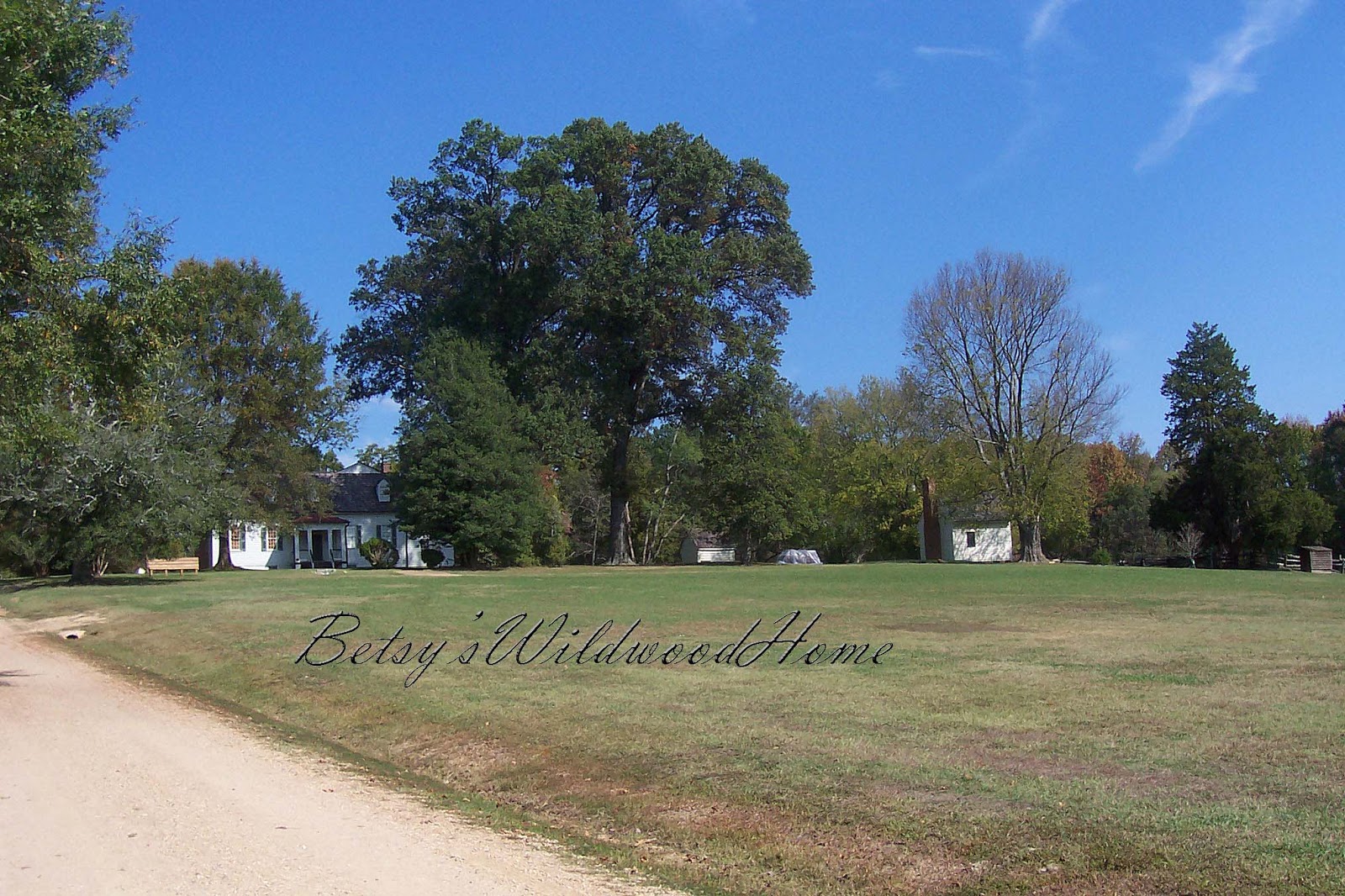 Betsy's Wildwood Home Meadow farm