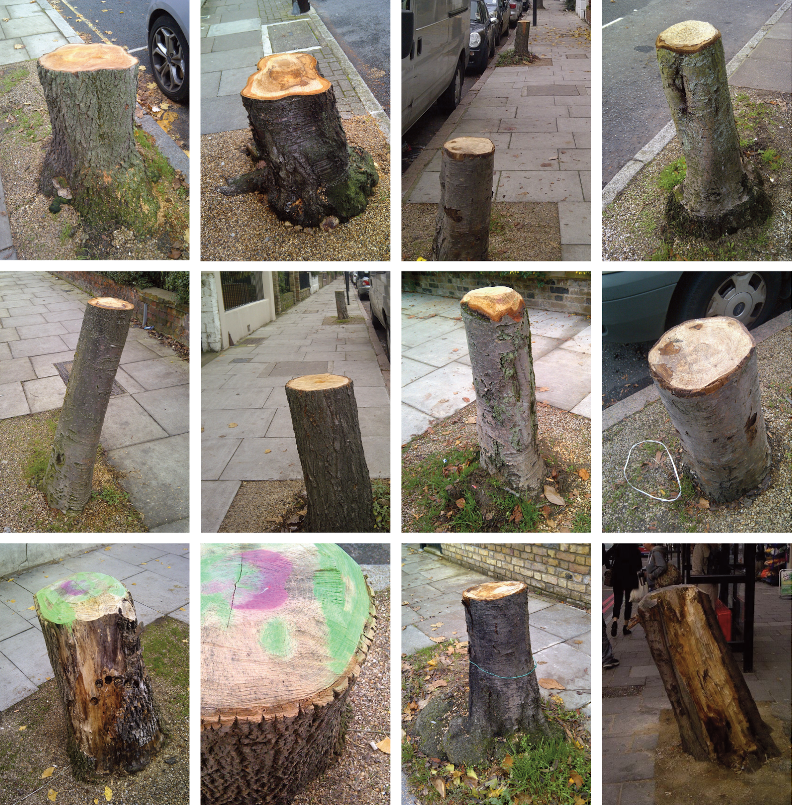 Jane's London Stumped in North London