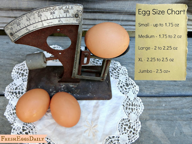 Egg Size Chart