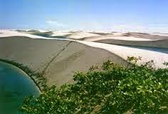 As belas dunas do litoral brasileiro