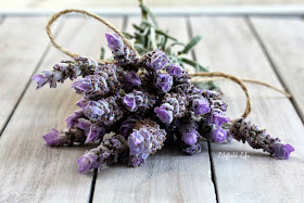 Lavender tied up with string
