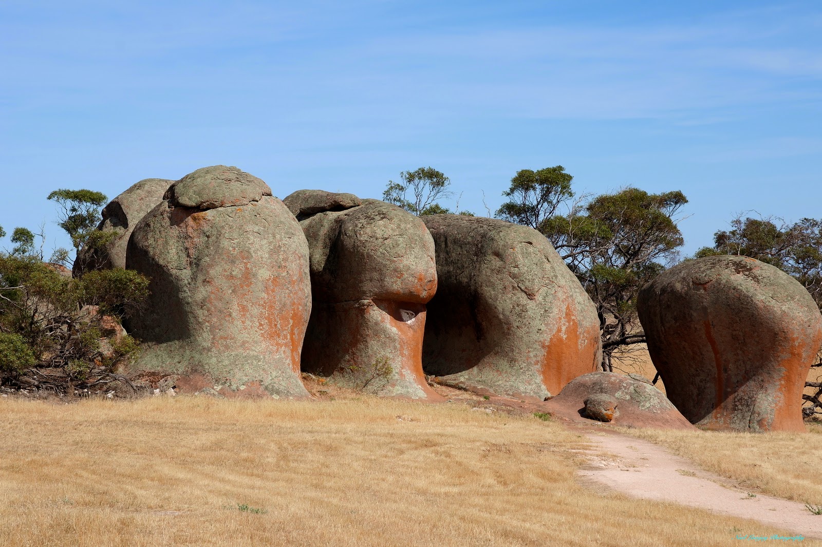 Can Go Around Australia Streaky Bay, SA.