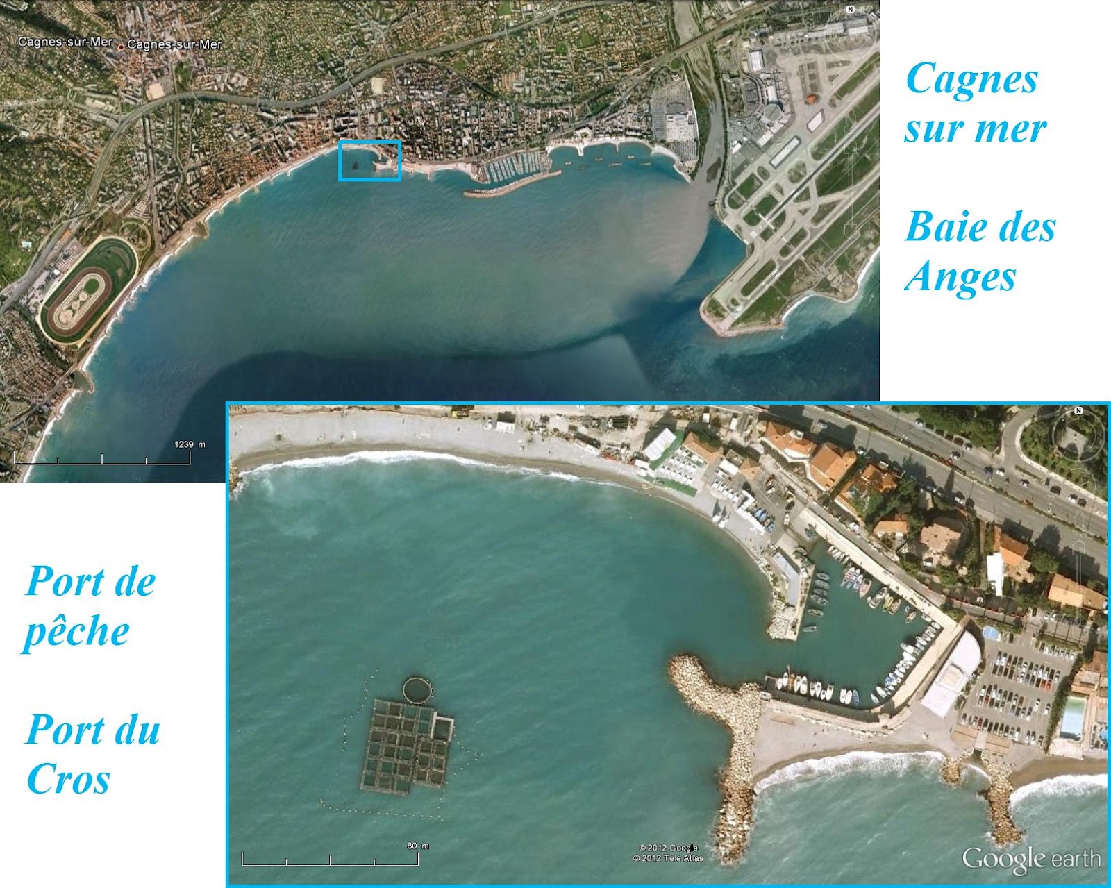 Image Result For Les Vacances Des Anges Image Result For Les Vacances Des Anges