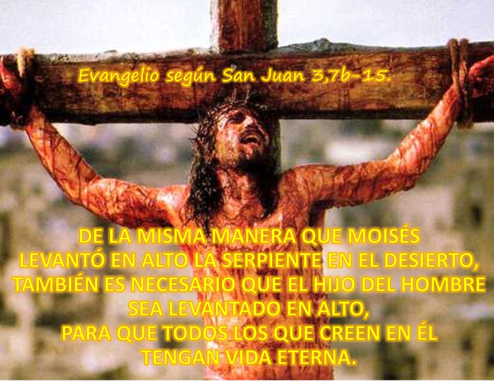 Evangelio según San Juan 3,7b-15.