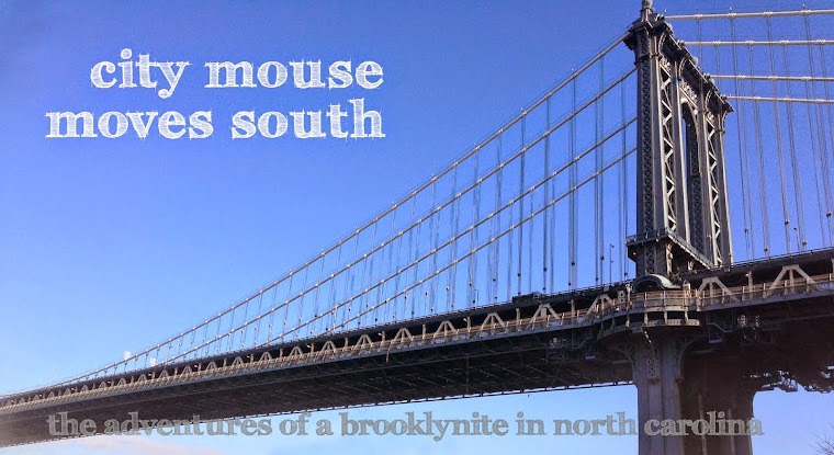 City Mouse Moves South