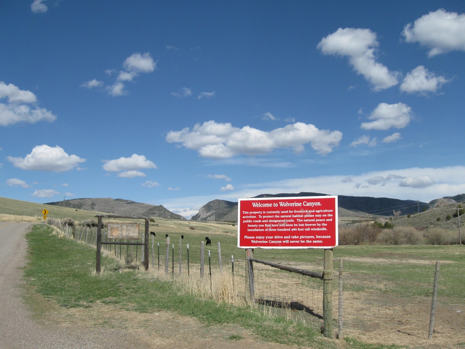 Ogden Insights Things To Do In Idaho Wolverine Canyon and Forty Horse