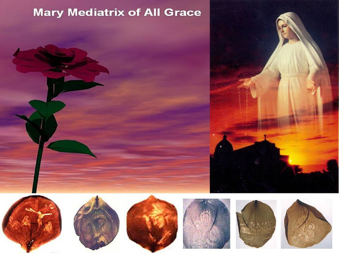 Mary Mediatrix of All Grace