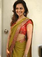 Richa Pallod Looking Damn Sexy in Saree