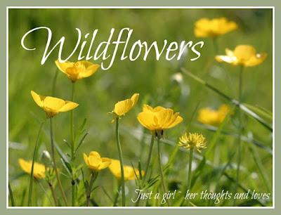 Wildflowers