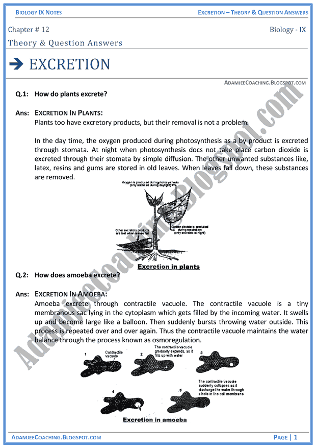 excretion-theory-notes-and-question-answers-biology-notes-for-class-9th