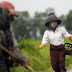 သီးနွံစစိုက္ခ်ိန္တြင္ စိုက္ပ်ဳိးစရိတ္ေခ်းေငြ ထုတ္ေပးရန္လို