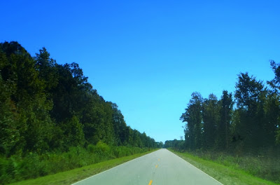 Hunting Island State Park South Carolina by Dear Miss Mermaid, copyright by http://dearmissmermaid.com