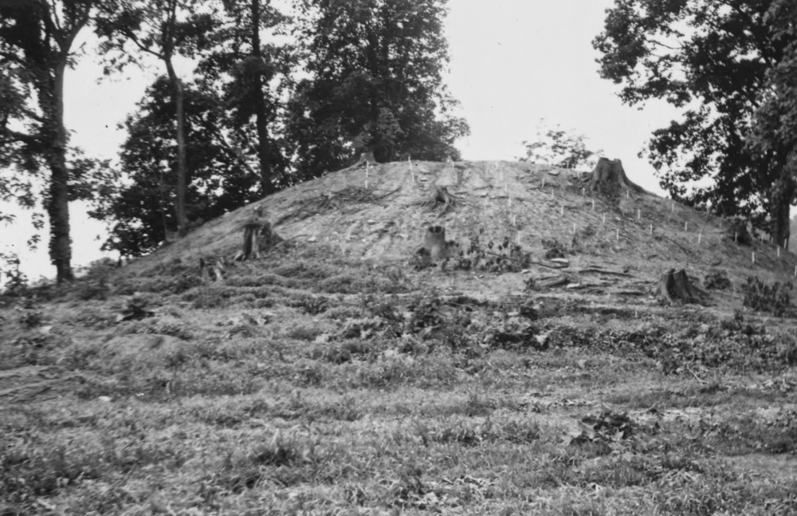 Mound Builders A Travel Guide to the Ancient Ruins in the Ohio Valley Burial Mound in Kentucky