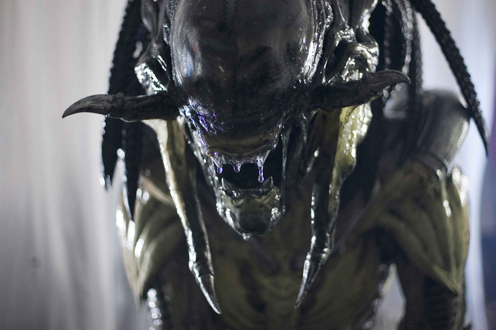 Aliens vs. Predator Evolution Official Trailer: This is What