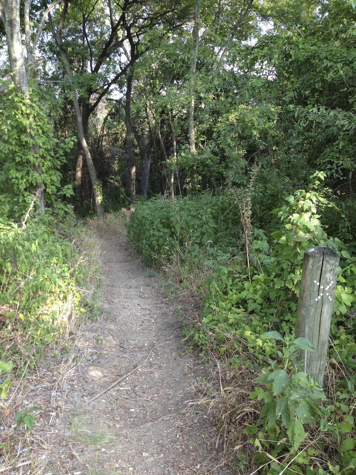 The Roaming Itinerant Woodway Park (Waco, TX)