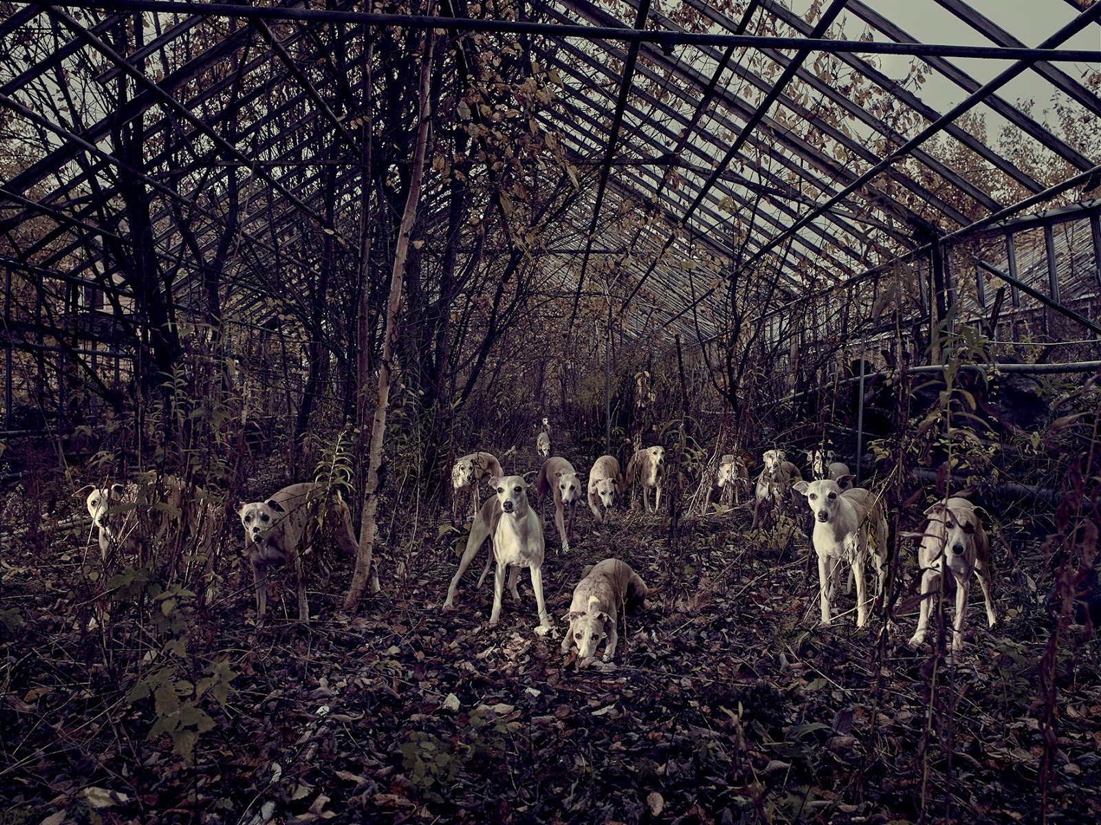 Observingart International Art News And Events 2015 10 04