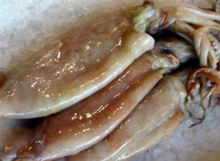 Cómo limpiar los calamares recetas