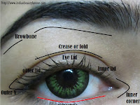 Eyeshadow Diagram Eyeshadow Diagram