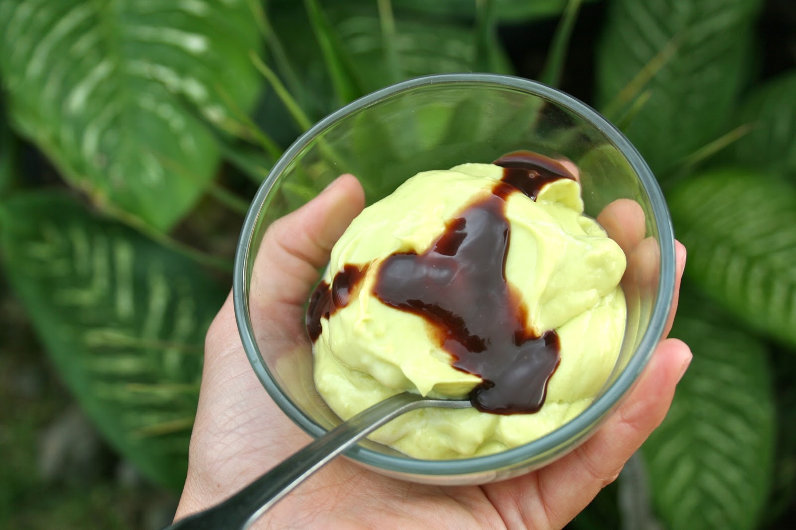Saturdays with Maggy Vegan Avocado Ice Cream