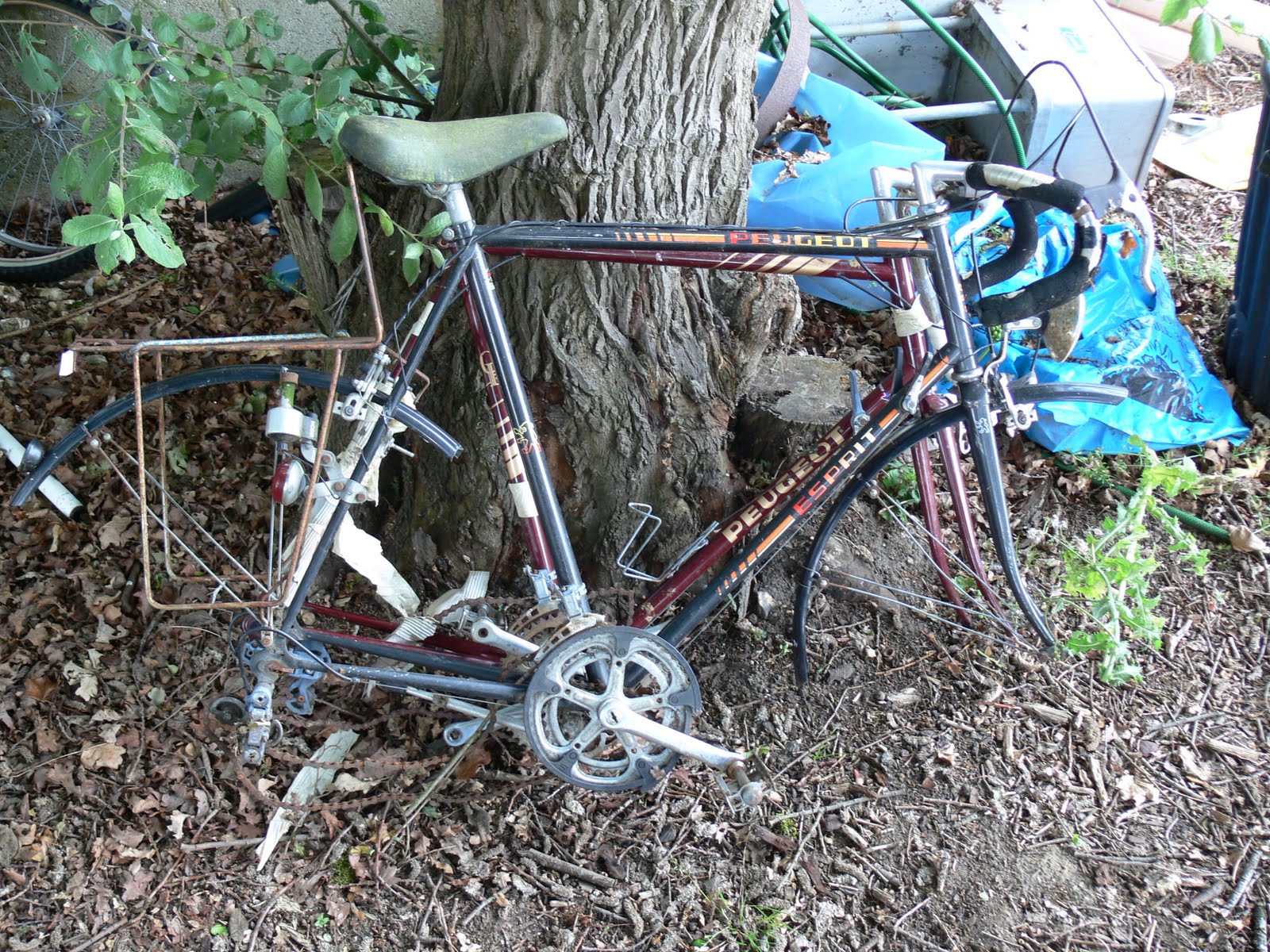 bike chain rusted solid