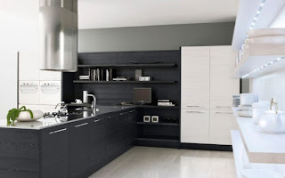 Black and White Kitchen Cabinets design