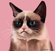 My own little visual study into what exactly makes Grumpy Cat look so grumpy . (grumpy cat)