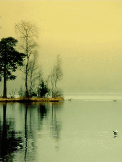 http://2.bp.blogspot.com/-oUKGPDiJS5c/T4ZhuDoNR_I/AAAAAAAAXm0/7Jz_NfOccMs/s1600/0056.gif