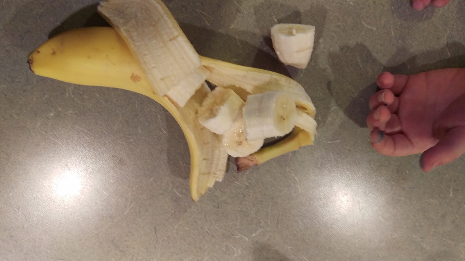 The Cool Science Dad Banana Slice Experiment