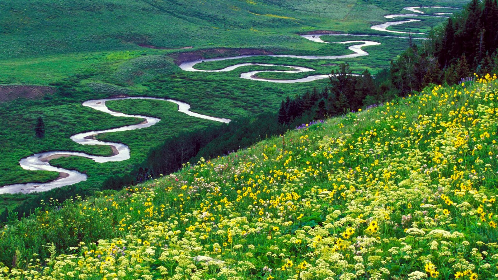 A Year Of Being Here April 2015