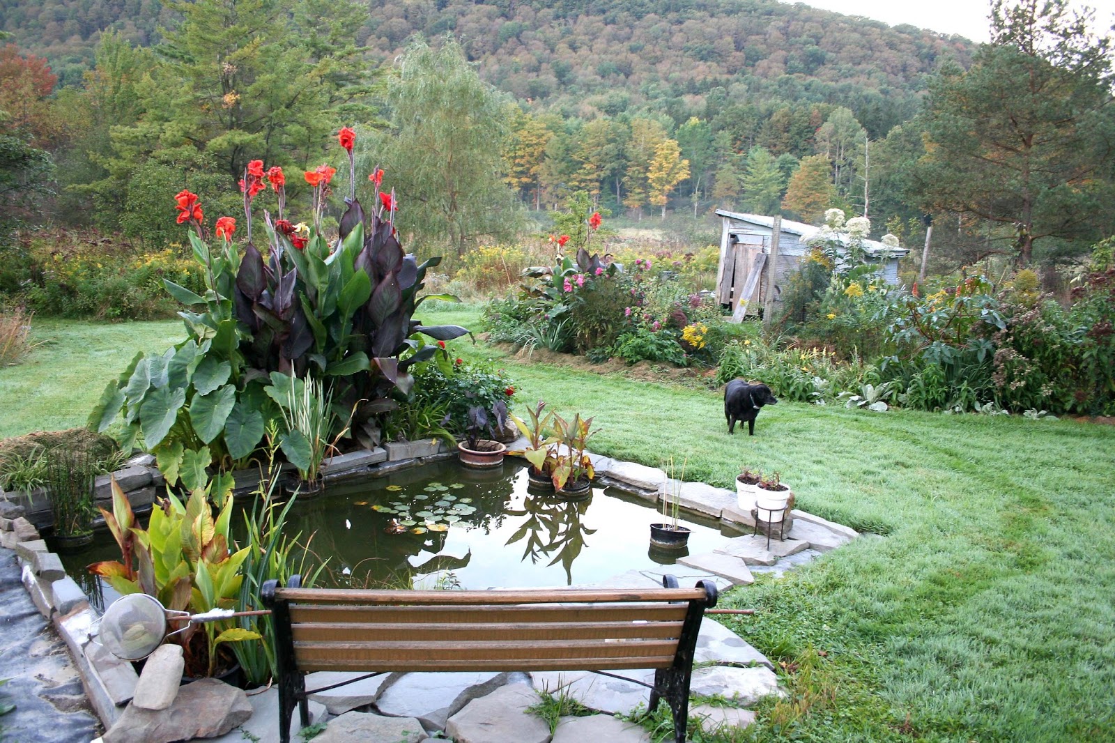Home Garden Design Gallery: Tips To Make Minimalist Simple ...