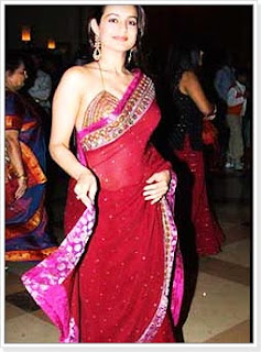 Amisha Patel Bollywood Actress, Amisha Patel Hot Photos, Amisha Patel Pics