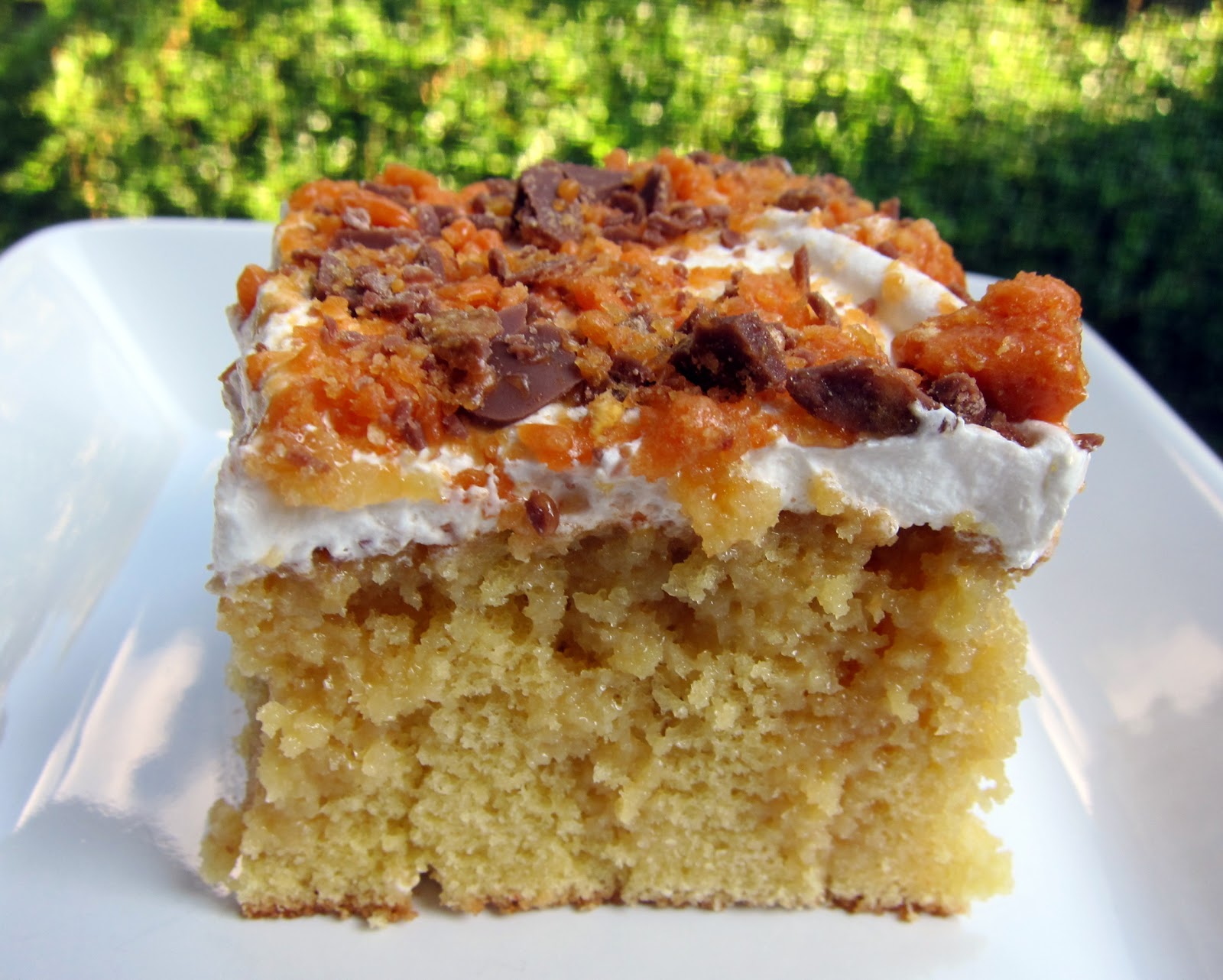 Butterfinger Cake Plain Chicken