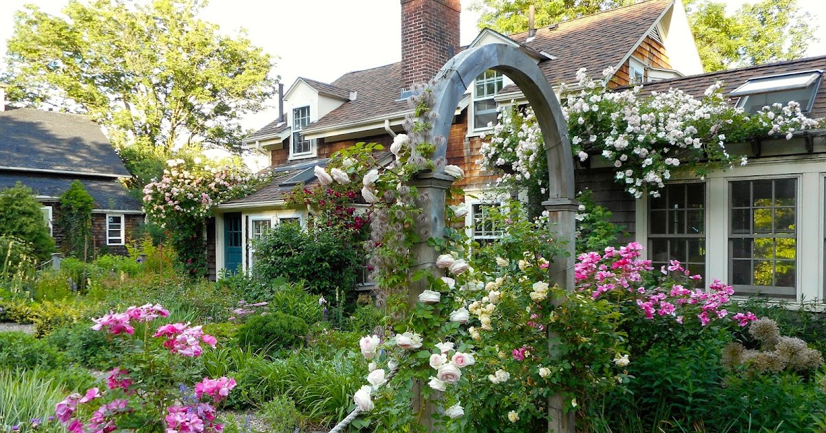 A Year In The Garden Riveting Roses