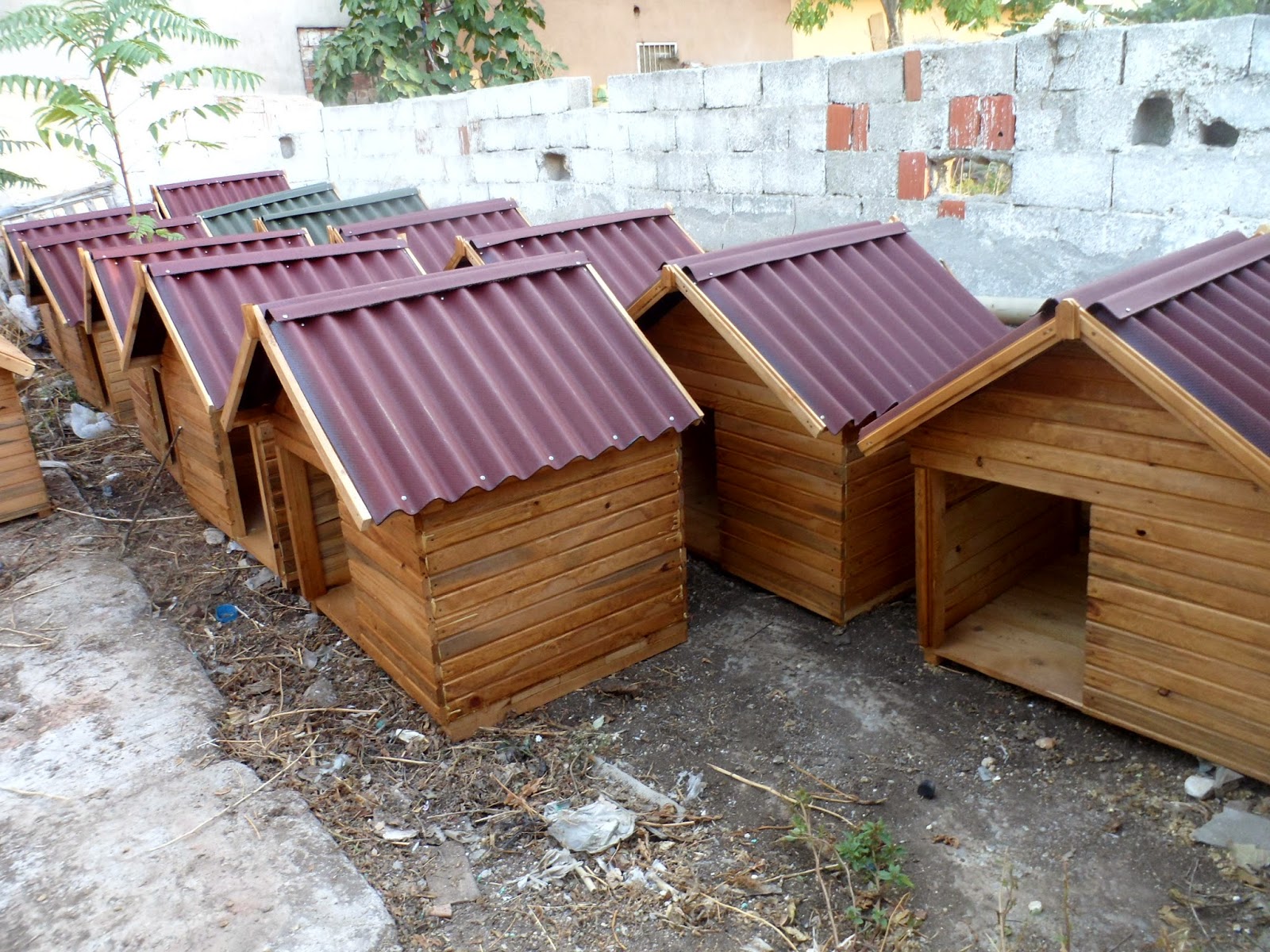 Ahsap Ev Kopek Kulubesi Orta Boy 100 Cm En 80 Cm Uzunluk 110 Cm Yukseklik600 Tl