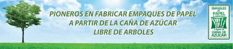 Hacemos FUNDAS DE PAPEL DE CAÑA DE AZUCAR DESDE EL AÑO 2006