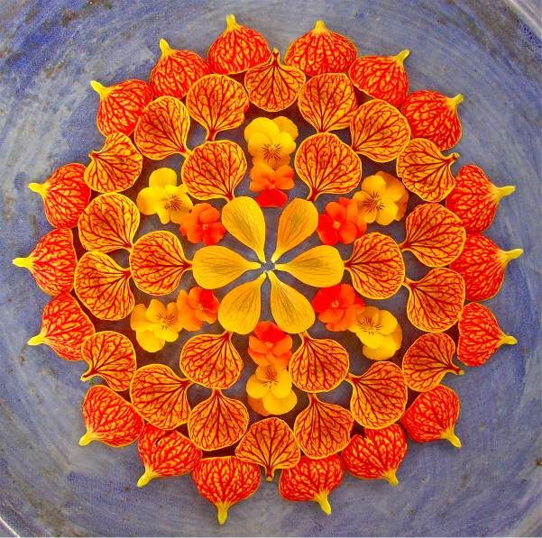 Creative Flower Rangoli Designs Most Beautiful Images