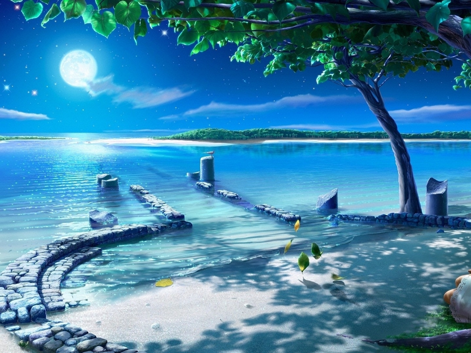 Beautiful Night Sky wallpaperWallpaper Background Wallpaper Background