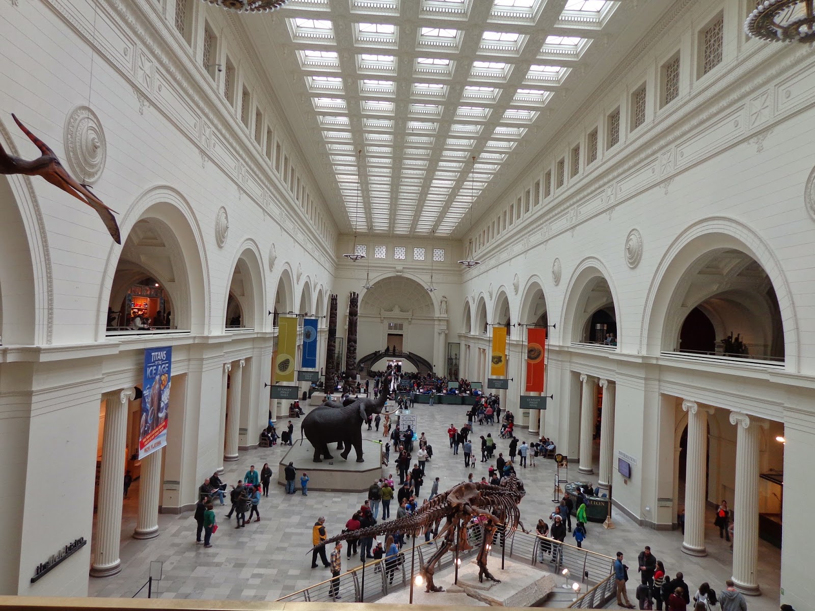 Running Diva Mom A Visit to the Field Museum Chicago