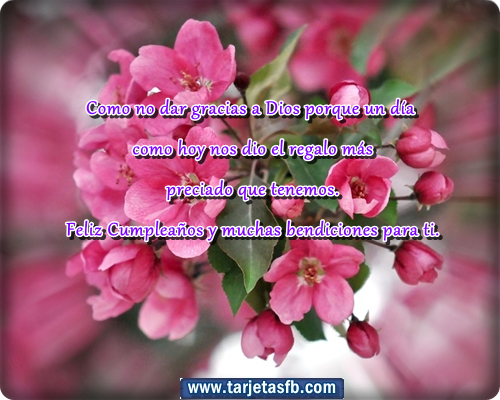 tarjetas de flores