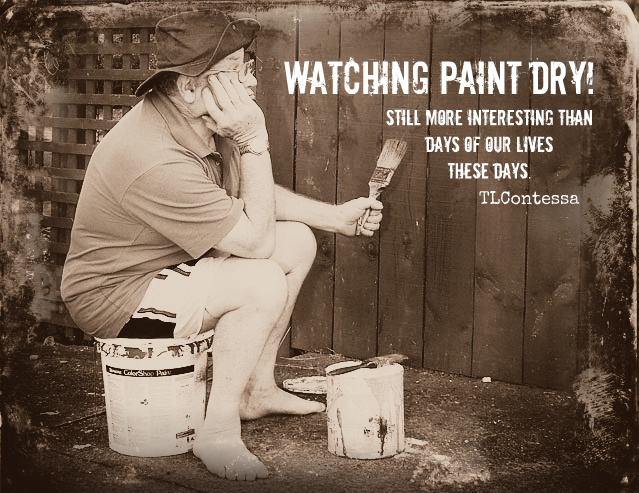 Days+Watching+Paint+Dry.jpg