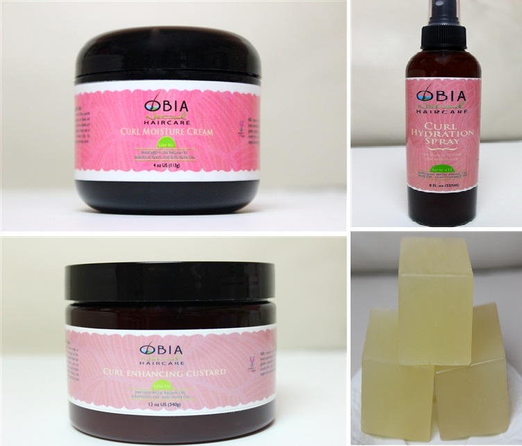Chic Therapy Small Business Highlight Obia Natural Hair Care