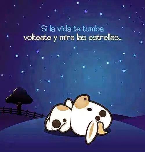 frases bonitas para facebook