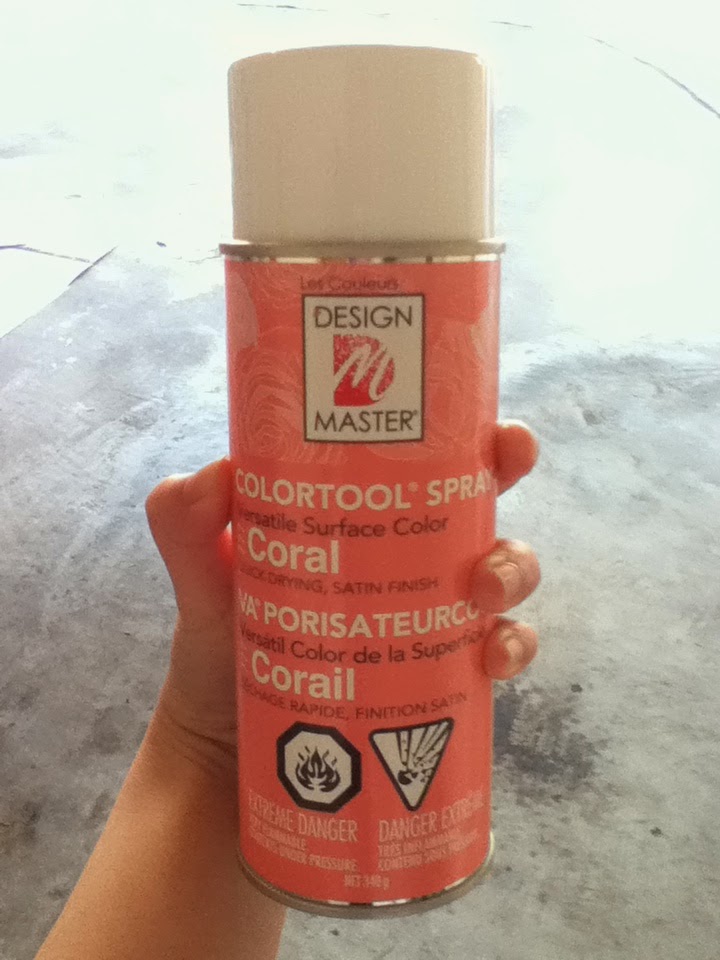 Katie's MYP Personal Project Spray Painting My Poster Board