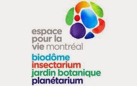 rencontre internationale du mime de montréal