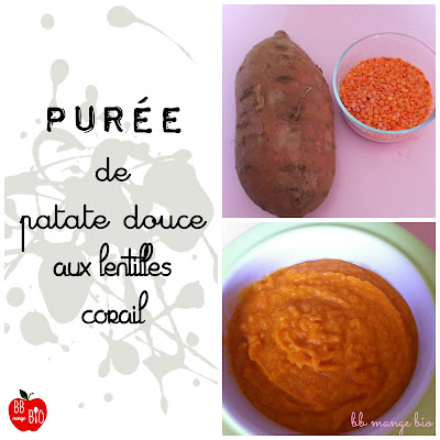 Purée de patate douce aux lentilles corail Purée de patate douce aux lentilles corail à partir de 8 mois pour les bébés bio proposée par BB mange bio bébé mange bio recette bio pour bébé