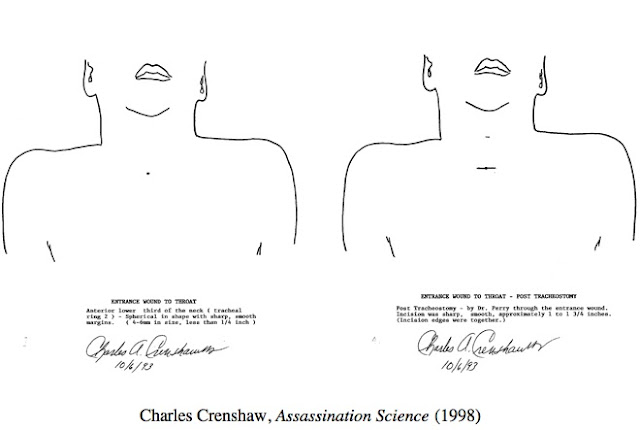 Crenshaw+diagrams.jpg