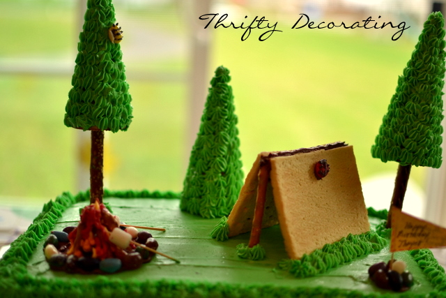 Thrifty Decorating: Camping Birthday Cake.