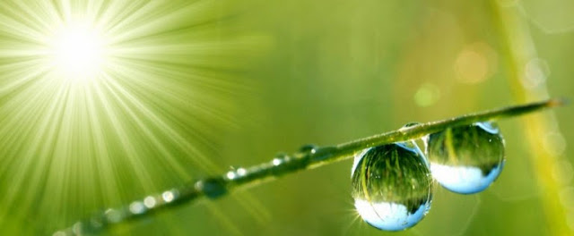 can-positive-thoughts-help-heal-another-person